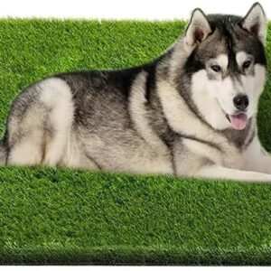 Artificial Grass – Professional Dog Grass Mat, Potty Training Rug (47.3x31.5 inches)